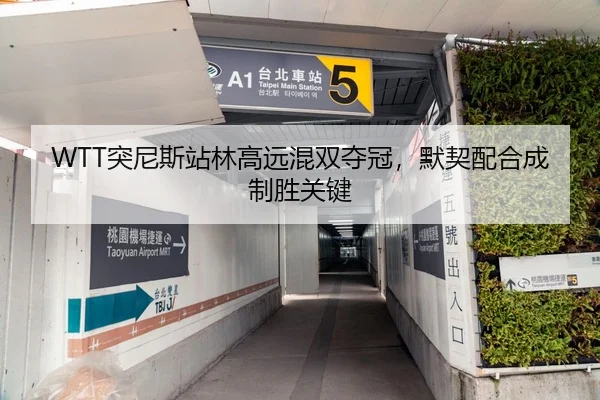 WTT突尼斯站林高远混双夺冠，默契配合成制胜关键