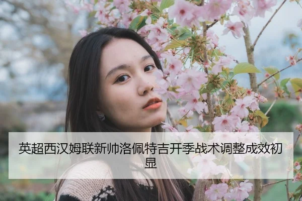 ying-chao-xi-han-mu-lian-xin-shuai-luo-pei-te-ji-kai-ji-zhan-shu-tiao-zheng-cheng-xiao-chu-xian-2-698.jpg
