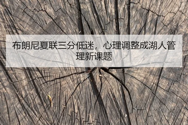 bu-lang-ni-xia-lian-san-fen-di-mi-xin-li-tiao-zheng-cheng-hu-ren-guan-li-xin-ke-ti-2-914.jpg