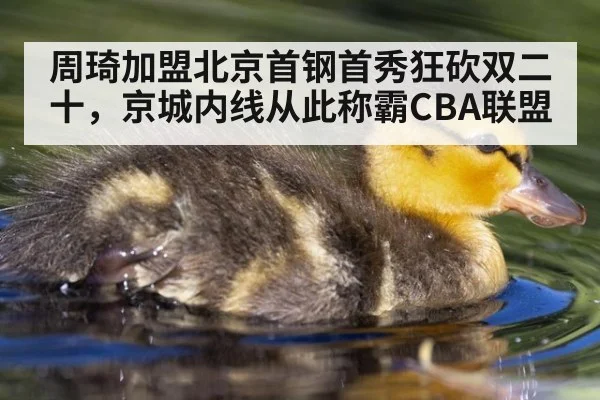 周琦加盟北京首钢首秀狂砍双二十，京城内线从此称霸CBA联盟