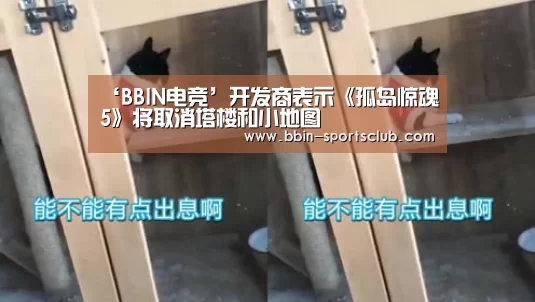 BBIN体育