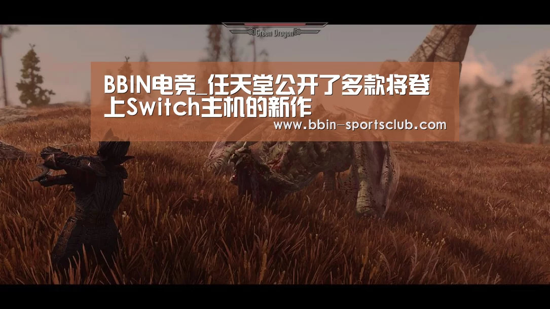 BBIN篮球