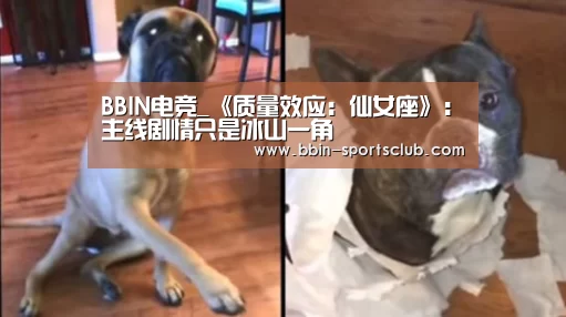 BBIN足球