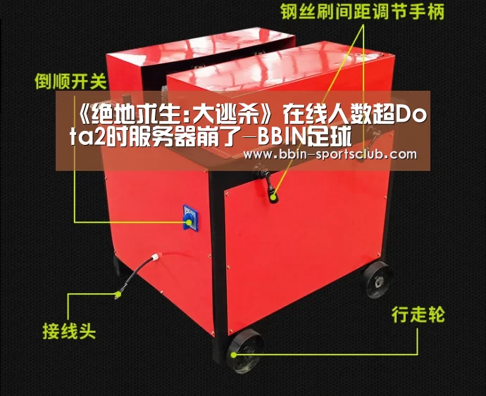 BBIN篮球